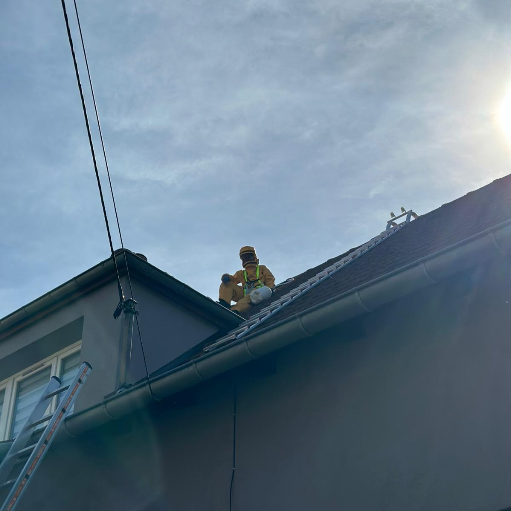 NID DE GUEPES EN TOITURE METZ